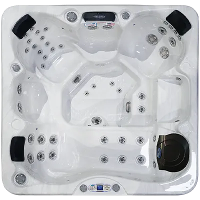 Avalon EC-849L hot tubs for sale in Concord